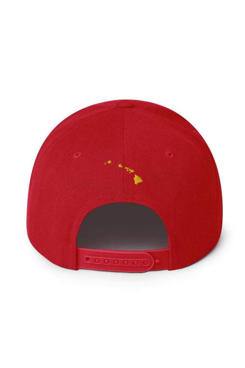 Asana Hawaii Snapback Hat Asana Hawaii Island Flag Snapback Hat